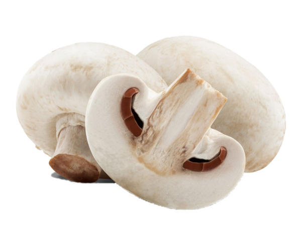 Mushrooms14”